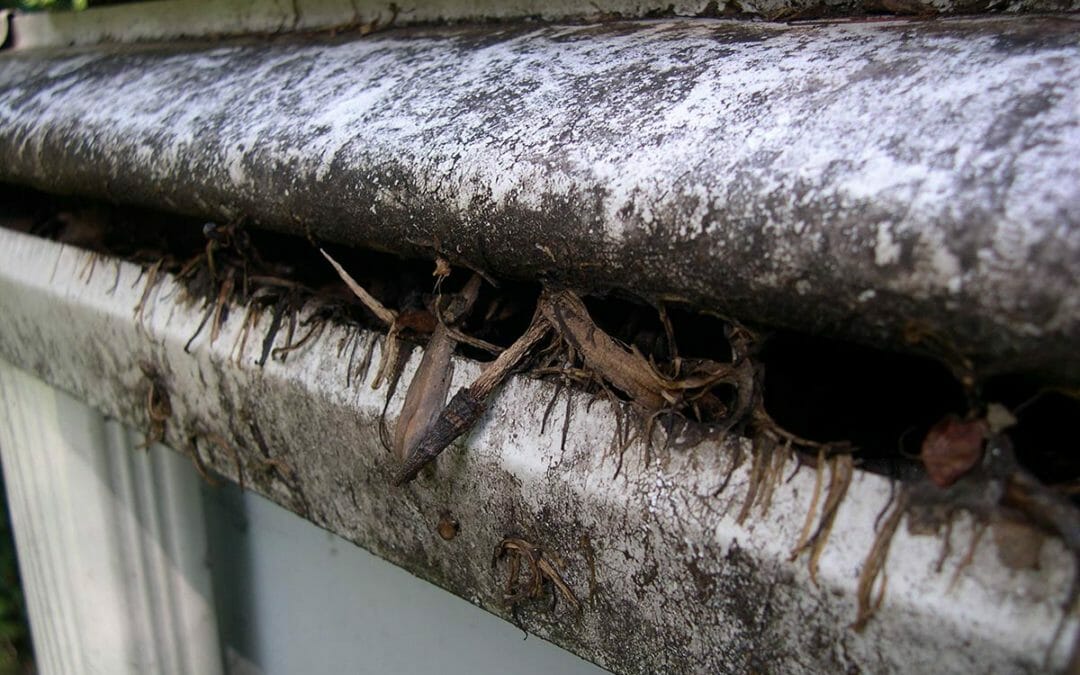 Types of Rain Gutters