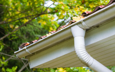 How Frequently Should Your Minneapolis Gutters Be Cleaned