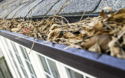 Why Gutter Guards are NOT Maintenance Free