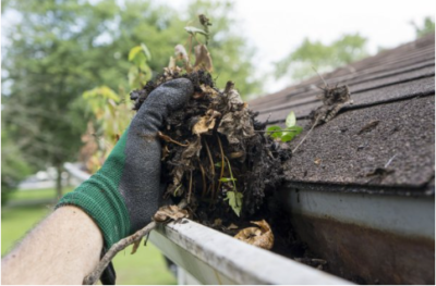 How Trees Affect Your Roofing System