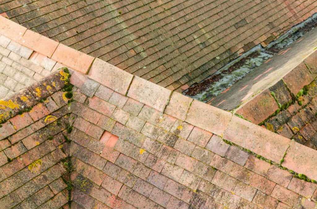 How Lichens Affect Your Roofing And Gutter Systems