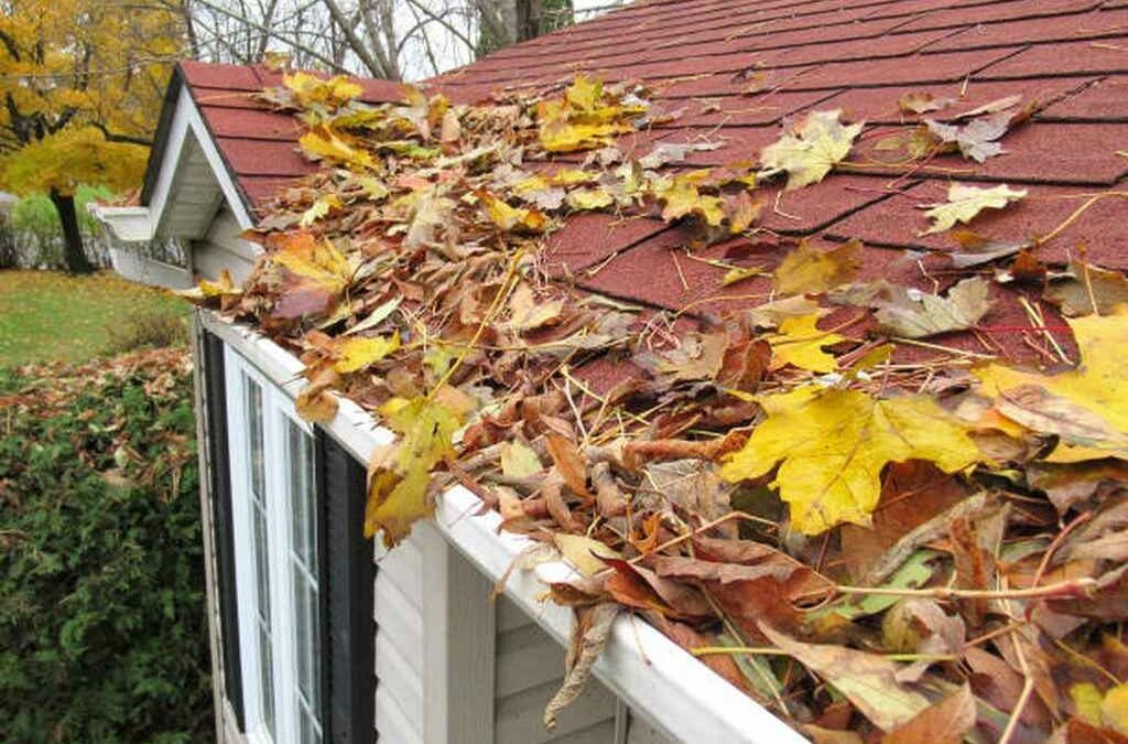 Why Gutter Maids Are Better Than Gutter Guards