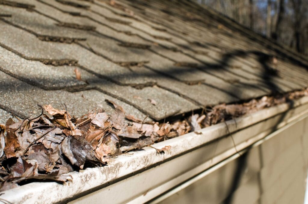 high ladder gutter cleaning