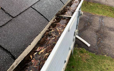 Gutter Cleaning Safety: Tips for DIY Enthusiasts and Professionals