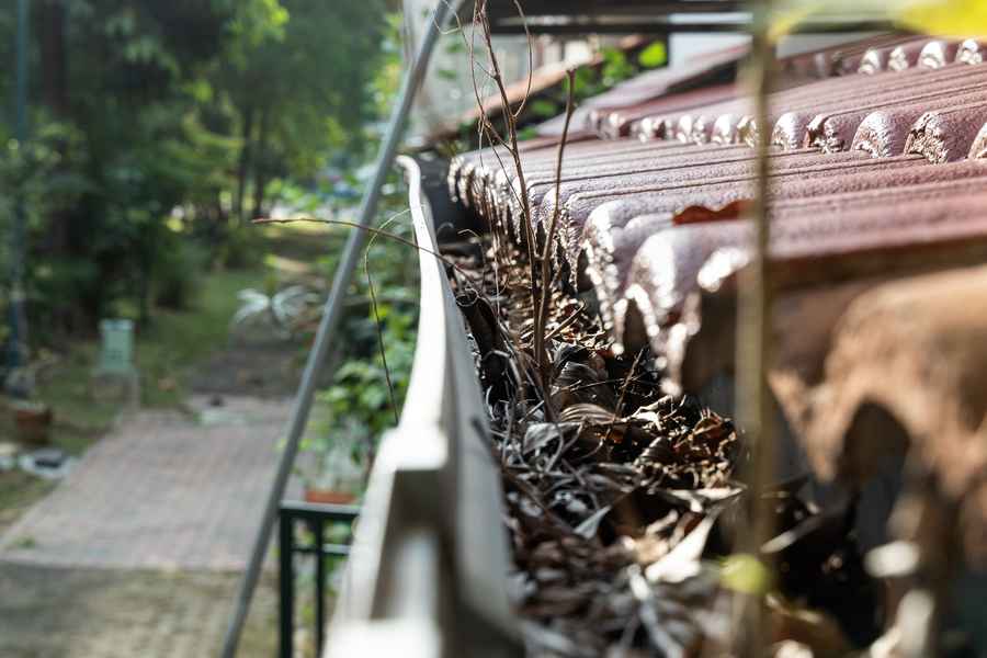 identifying gutter issues
