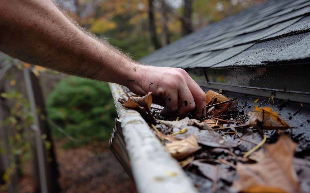 9 Steps to Take After a Storm Knocks Debris Into Your Gutters